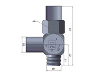 Air Induction Valve